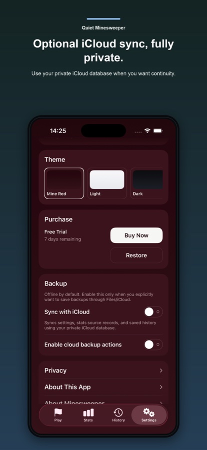 Quiet Minesweeper settings showing private optional iCloud sync and backup controls